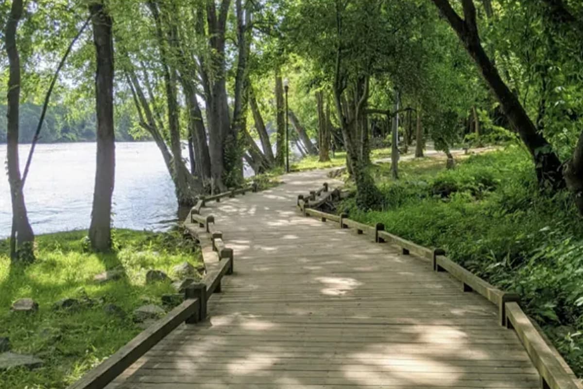 A wooden walkway winds through lush greenery along a riverbank.