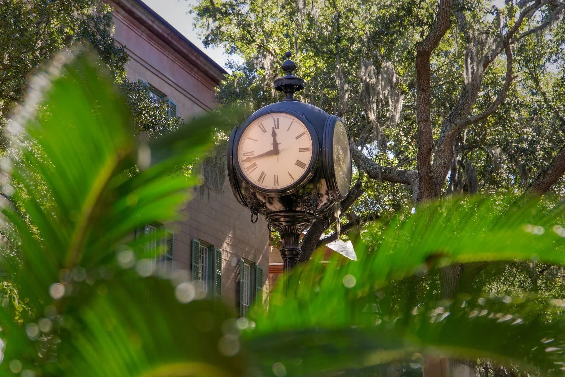 A decorative clock surrounded by green foliage.