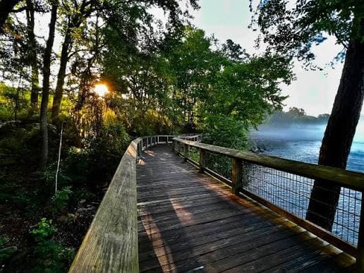 A wooden walkway curves through lush greenery beside a misty body of water at sunrise. A wooden walkway curves through lush greenery beside a misty body of water at sunrise.